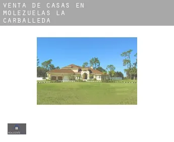 Venta de casas en Molezuelas de la Carballeda