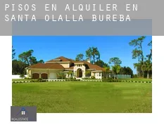 Pisos en alquiler en Santa Olalla de Bureba