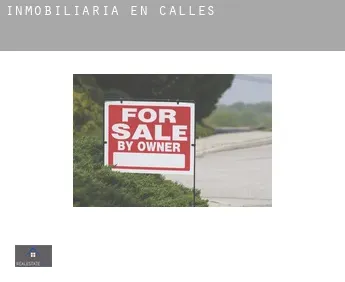 Inmobiliaria en  Calles