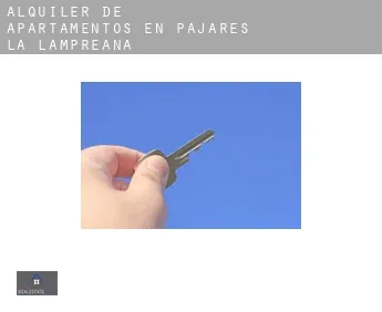 Alquiler de apartamentos en  Pajares de la Lampreana