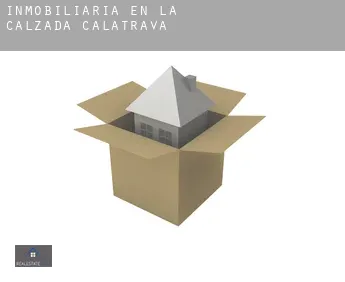 Inmobiliaria en  La Calzada de Calatrava