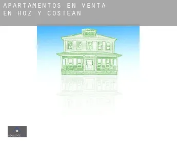 Apartamentos en venta en  Hoz y Costean