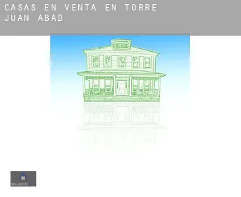 Casas en venta en  Torre de Juan Abad