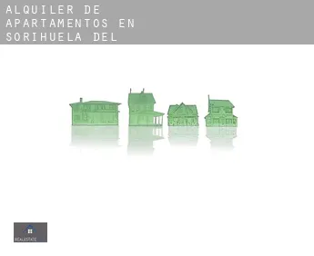 Alquiler de apartamentos en  Sorihuela del Guadalimar