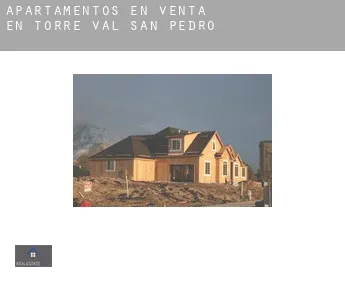 Apartamentos en venta en  Torre Val de San Pedro