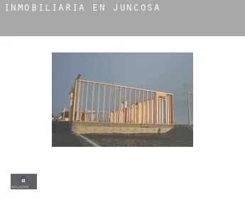 Inmobiliaria en  Juncosa