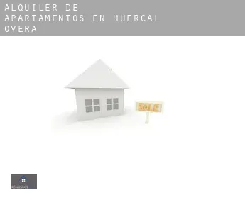 Alquiler de apartamentos en  Huércal-Overa