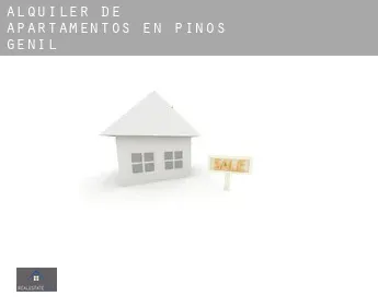 Alquiler de apartamentos en  Pinos Genil