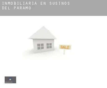 Inmobiliaria en Susinos del Páramo