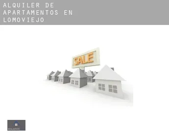 Alquiler de apartamentos en  Lomoviejo