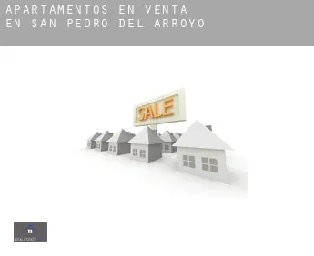 Apartamentos en venta en  San Pedro del Arroyo