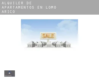 Alquiler de apartamentos en  Lomo de Arico