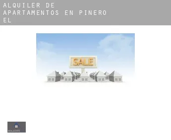 Alquiler de apartamentos en  Piñero (El)