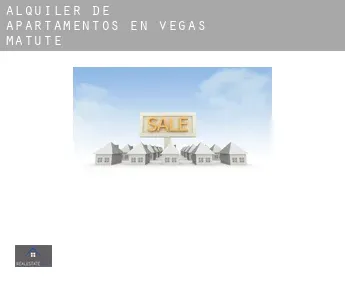 Alquiler de apartamentos en  Vegas de Matute