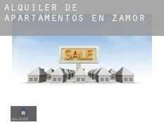 Alquiler de apartamentos en  Zamora