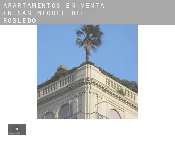 Apartamentos en venta en  San Miguel del Robledo