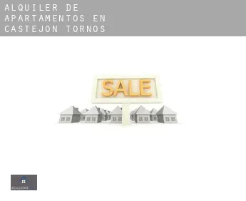 Alquiler de apartamentos en  Castejón de Tornos