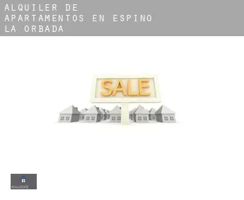 Alquiler de apartamentos en  Espino de la Orbada