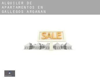 Alquiler de apartamentos en  Gallegos de Argañán