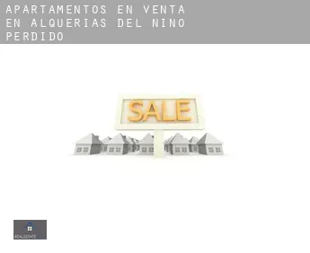 Apartamentos en venta en  Alquerías del Niño Perdido