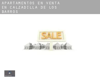 Apartamentos en venta en  Calzadilla de los Barros