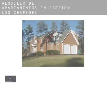Alquiler de apartamentos en  Carrión de los Céspedes