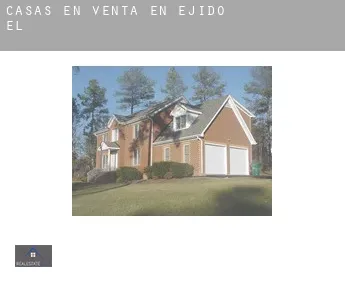 Casas en venta en  Ejido (El)