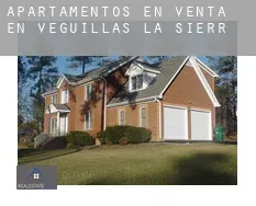 Apartamentos en venta en Veguillas de la Sierra