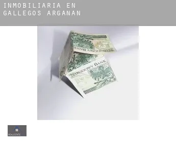 Inmobiliaria en  Gallegos de Argañán