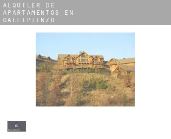 Alquiler de apartamentos en  Gallipienzo