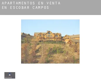 Apartamentos en venta en  Escobar de Campos