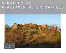 Alquiler de apartamentos en  Bañuelos
