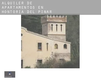 Alquiler de apartamentos en  Hontoria del Pinar