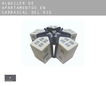 Alquiler de apartamentos en  Carrascal del Río