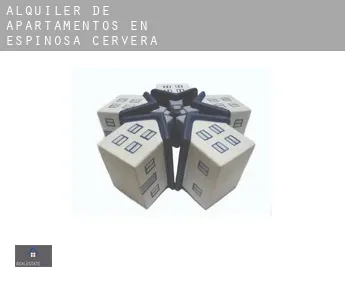 Alquiler de apartamentos en  Espinosa de Cervera