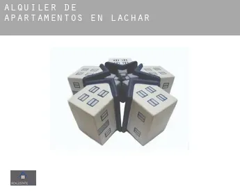 Alquiler de apartamentos en  Láchar
