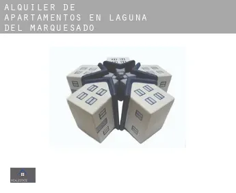 Alquiler de apartamentos en  Laguna del Marquesado