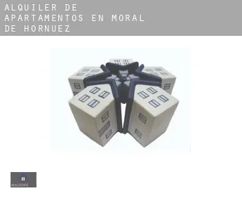 Alquiler de apartamentos en  Moral de Hornuez