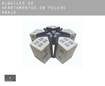 Alquiler de apartamentos en  Peleas de Abajo