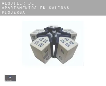 Alquiler de apartamentos en  Salinas de Pisuerga