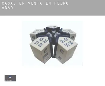 Casas en venta en  Pedro Abad