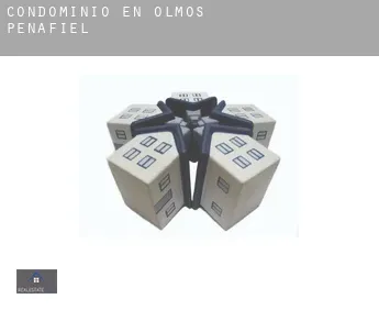 Condominio en  Olmos de Peñafiel