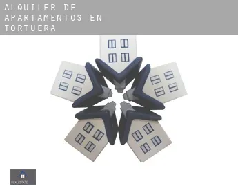 Alquiler de apartamentos en  Tortuera