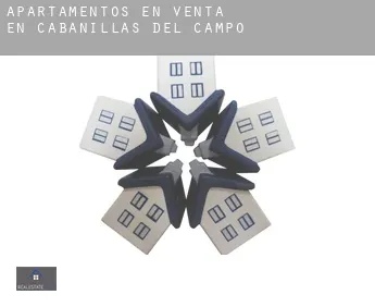 Apartamentos en venta en  Cabanillas del Campo