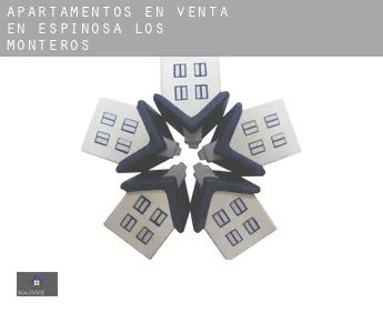 Apartamentos en venta en  Espinosa de los Monteros