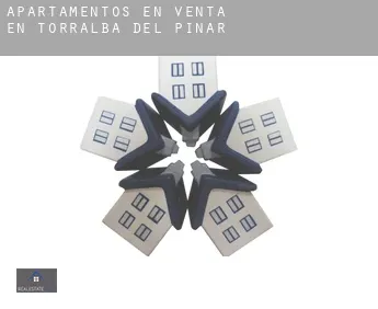 Apartamentos en venta en  Torralba del Pinar