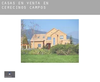 Casas en venta en  Cerecinos de Campos