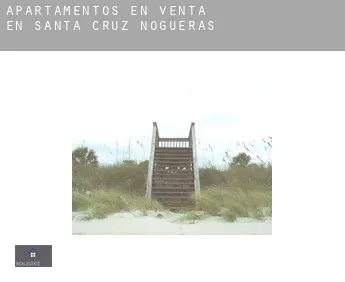Apartamentos en venta en  Santa Cruz de Nogueras