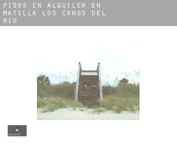 Pisos en alquiler en  Matilla de los Caños del Río