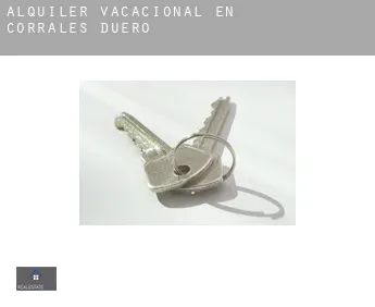 Alquiler vacacional en  Corrales de Duero